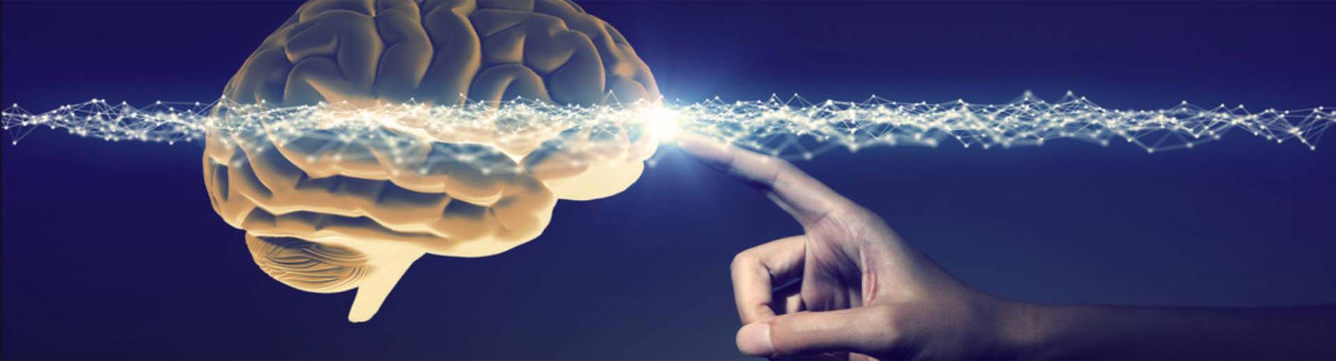 Neurofeedback Therapy Center In East Delhi